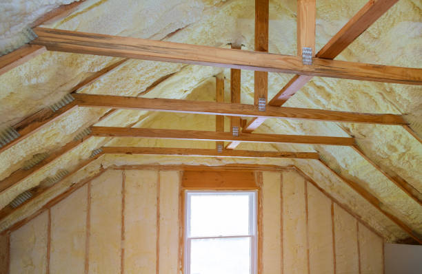 Best Insulation Inspection Services  in Pumpkin Center, NC