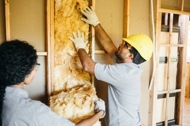 Best Insulation for New Construction  in Pumpkin Center, NC